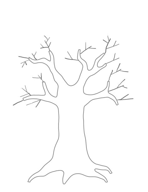 Best Photos Of Template Of Tree Tree Outline Template Printable