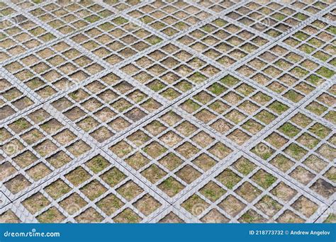 Square Concrete And Square Grass Sidewalk Lawn Stock Photo Image Of