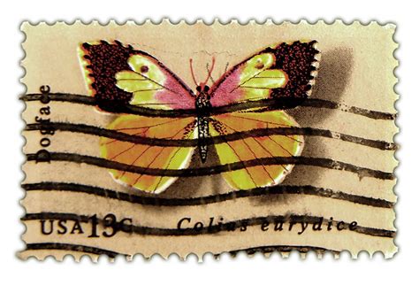 Vintage Postage Stamp Art 1977 Butterfly Issue Dogface Click For