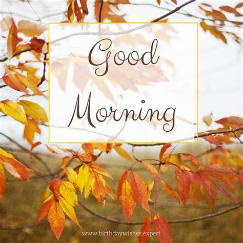 We did not find results for: Good Morning With Autumn Leaves Pictures, Photos, and ...