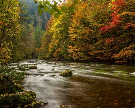 Harz Germany Autumn River Forest Scenery High Quality Wallpaper Preview