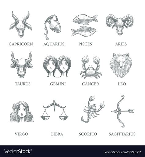Astrology And Zodiac Signs Horoscope Symbols Vector Image