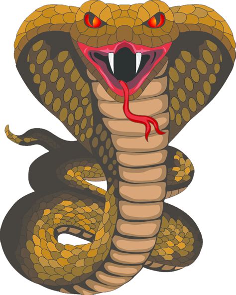 Cobra Clipart Standing Cobra Standing Transparent Free For Download On