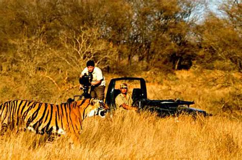 Discover India Jungle Safari In Bandhavgarh National Park Madhya Pradesh India