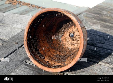 Flower Pot Empty Hi Res Stock Photography And Images Alamy