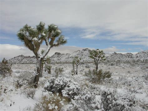 Americas 20 Prettiest National Parks In Winter National