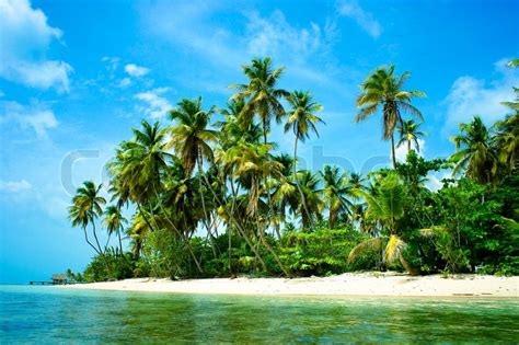 Landscape Scenery Of A Beautiful Tropical Island With Green Palm Trees