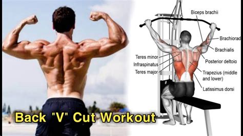 Lower Back Workout Back Workout With Dumbbells Back Workout For Men