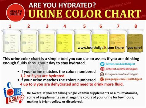 Free Sample Urine Color Chart Templates In Pdf Ms Word Check Your Urine Colour Colourchat
