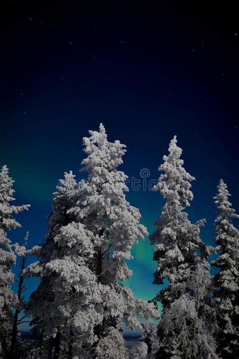Aurora Borealis In Lapland Stock Image Image Of Active 90177371