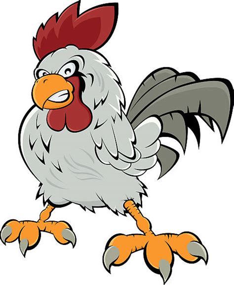 Best Angry Cartoon Rooster Illustrations Royalty Free Vector Graphics