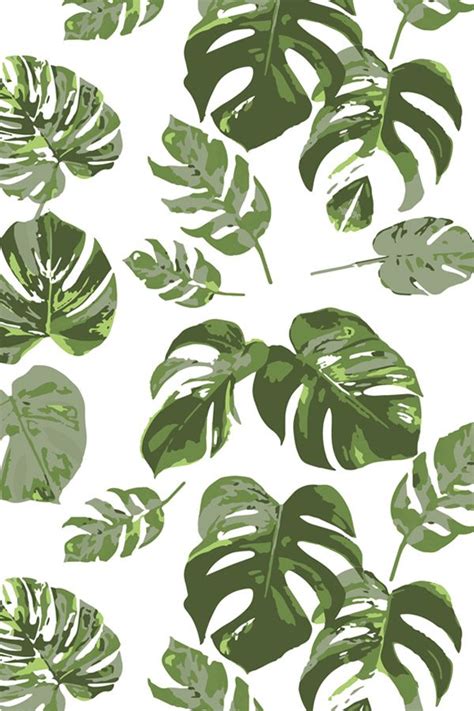 Baru 30 background daun warna warni wallpaper warna custom motif daun wallpaper download download 30 gambar abstrak keren bagu di 2020 daun abstrak latar belakang. Wallpaper Gambar Daun Monstera Pinterest - Desktop ...