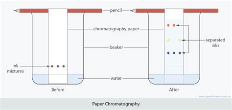 Chromatography Diagram Labeled