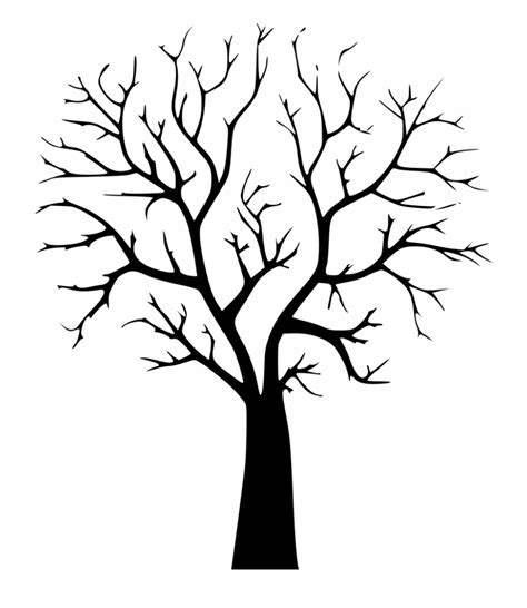Tree Black And White Clipart Autumn And Other Clipart Images On