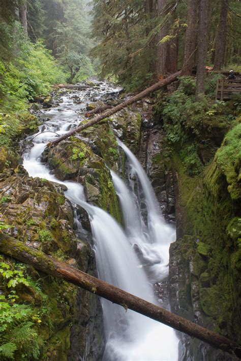 Sol Duc Falls Hiking Trail In Olympic National Park Washington Things