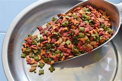 Check spelling or type a new query. Proper cat nutrition is key to increasing not only health ...