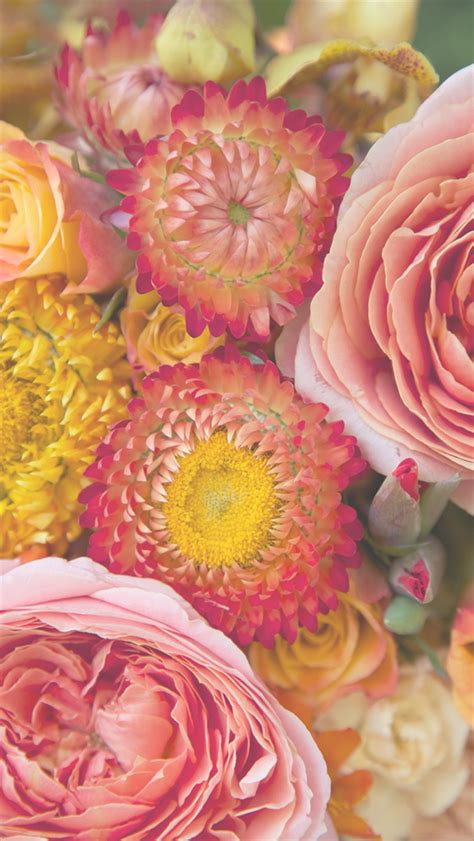 We've gathered more than 5 million images uploaded by our users and sorted them by the most popular ones. Free Floral Phone Wallpapers • Summer Collection • Capture ...