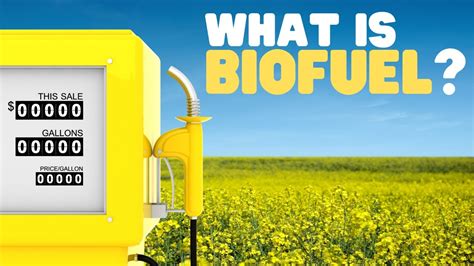 Biofuel Facts For Kids Kids Matttroy