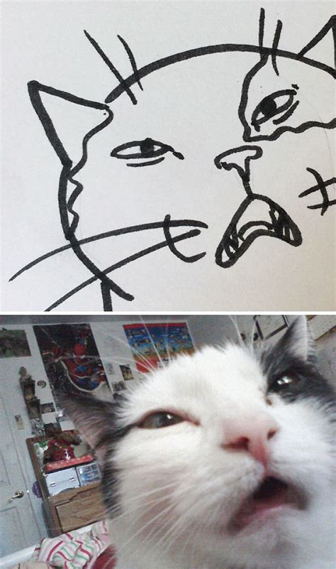 These Poorly Drawn Images Actually Look Like Real Cats And Heres Proof