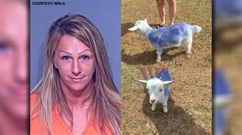 Alabama Woman Arrested For Stealing Neighbors Goat And Painting It