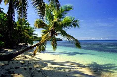 Perfect Fijian Beach Views Nananu I Ra Fiji Stefan