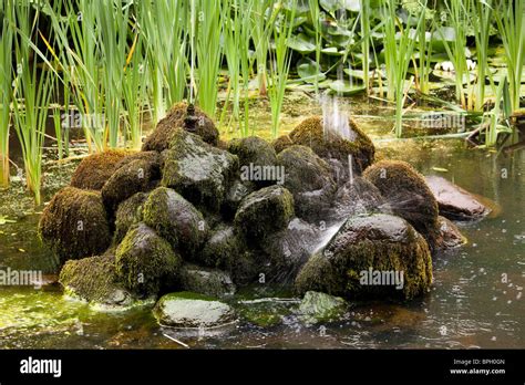 Rock Moss Pond Hi Res Stock Photography And Images Alamy