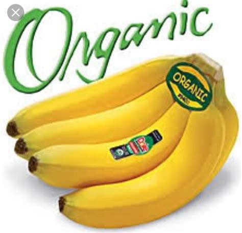 Organic Banana At Rs 300carat केले In Burhanpur Id 19664619733