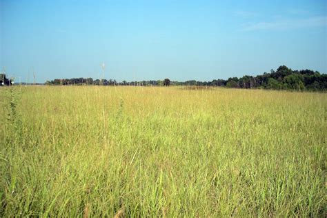 Cherokee Prairie Natural Area