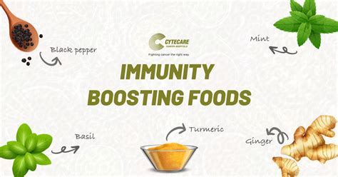 Immunity Boosting Foods Cytecare Hospital In Bangalore