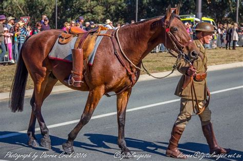 April 25 marks the day to remember the people who were lost and families who were changed forever. A Riderless Horse is about to lead off the ANZAC Day ...
