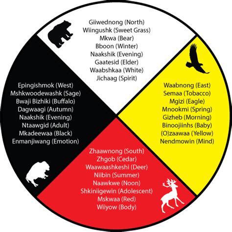 First Nations Medicine Wheel