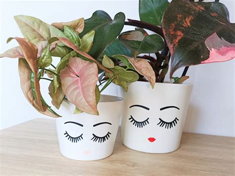 Diy Plant Pot Eyelashes Sticker Cute Lashes Eyes Lips Indoor Etsy