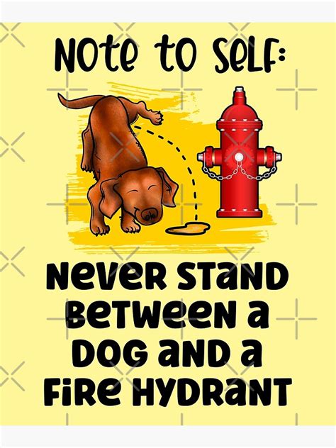 Never Stand Between A Dog And A Fire Hydrant Inspirational Saying