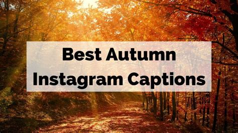 Best Autumn Instagram Captions For Your Golden Fall Photos