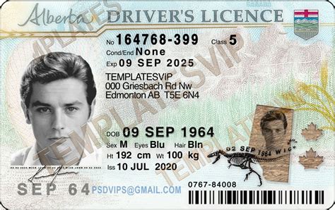 Drivers License Templates Templates Drivers Licenses Premium