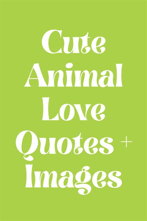 Cute Animal Love Quotes Images Darling Quote