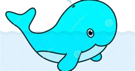 gambar ikan paus kartun gambar