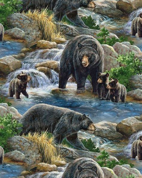 Artist Rosemary Millette Bear Paintings Wildlife Paintings Wildlife