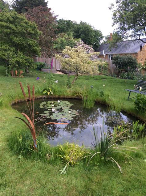 Wildlife Pond Page 2 — Bbc Gardeners World Magazine