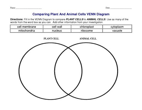You can do the exercises online or download the worksheet as pdf. plant and animal cells venn diagram - Google Search ...