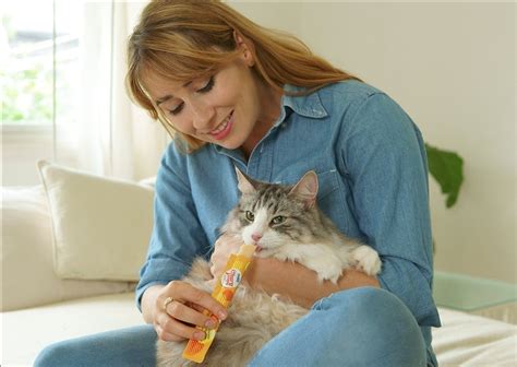 2 calculating your cat's caloric needs. Inaba Churu Pops Tuna with Chicken Recipe Cat Treat