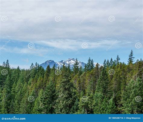 Mountain Far Away Through The Forest With Blue Sky And White Clouds