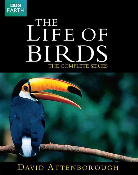 Bbc 새들의 세계 Bbc The Life Of Birds 1998