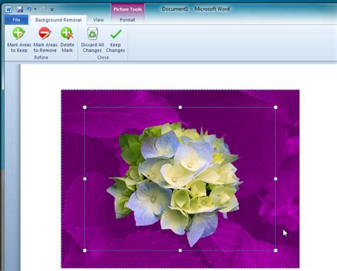 Then edit, crop, change background, add shadows to perfect your photos! Remove Image Background in MS Office 2010 With Background ...