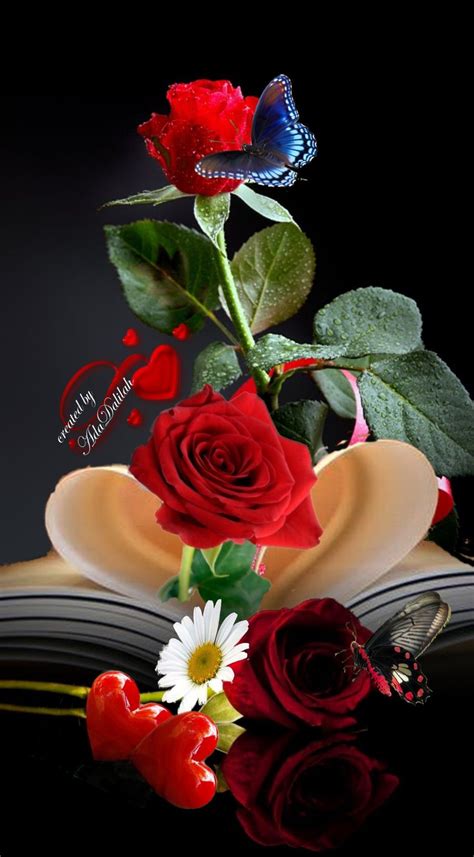 Atabulskhttps Pin It Enzmajfjyv Ab Love Rose Flower Rose Flower