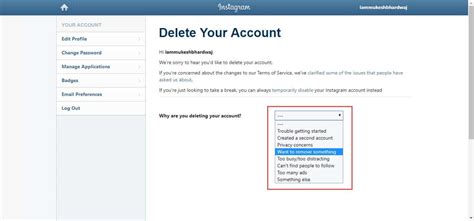 Owner of dina holland inte. How To Delete Your Instagram Account Permanently ...