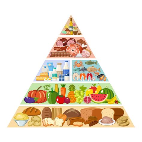 Food Pyramid Healthy Eating Infographic Stock Vector Illustration Of