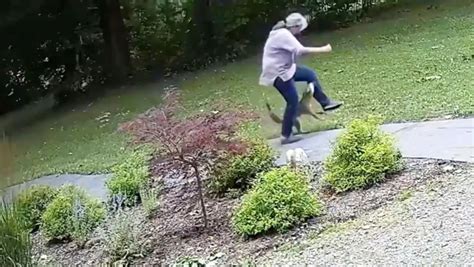 Shocking Clip Shows Woman Getting Attacked By A Rabid Fox In Her Own Yard