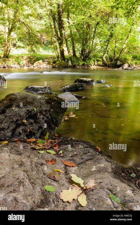 The River Barle In Exmoor Somerset Stock Photo Alamy