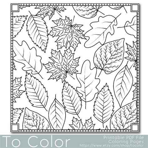 Autumn Leaves Coloring Page For Grown Ups Instant Download Fall